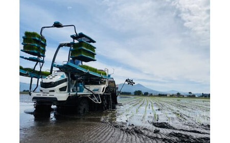 36-C こがねもち（令和7年産米）会津坂下産もち米 10kg（5kg×2袋） T.Farming※沖縄・離島への配送不可