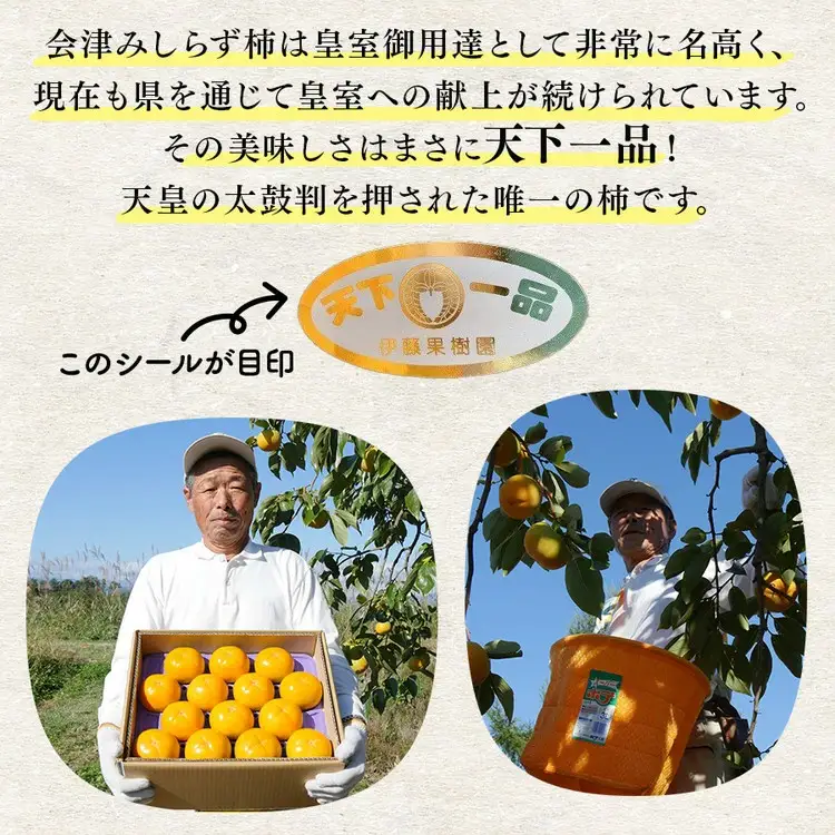 23-D 柿 会津みしらず柿 2Lサイズ 16個入り 約3kg ※2026年11月～発送