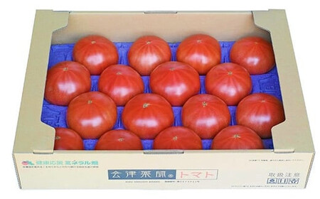 15-K 会津薬師トマト 4kg（14・16・18・20ケ入　玉数お任せ） フローライシダ ※2026年6月～発送