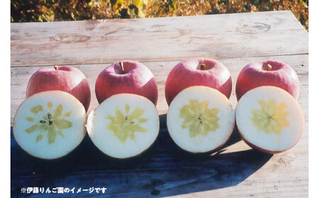 50-B りんご 5kg 紅玉 伊藤りんご園 ※2026年10月～発送