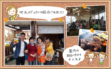 みかん狩り 収穫体験 （ みかん60分食べ放題 ） 3000円割引券