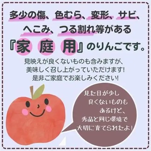 ◆2027年1月中発送◆りんご サンふじ家庭用 約10kg(24～42玉)【1515113】
