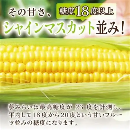 【蔵王の産直で毎日1000本完売】生でも甘い♪行列ができるトウモロコシ『夢みらい』10本_野菜 とうもろこし  トウモロコシ_【配送不可地域：離島】【1500619】