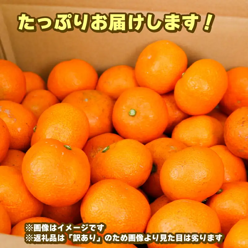 蜜柑 訳あり 小玉 温州みかん 南柑20号 10kg 玉津柑橘倶楽部 温州 みかん 小玉みかん 中生 甘い 果物 くだもの フルーツ 柑橘 mikan 愛媛蜜柑 愛媛みかん 愛媛ミカン ミカン わけあり サイズ 不揃い 産地直送 数量限定 国産 愛媛 宇和島 B010-072031