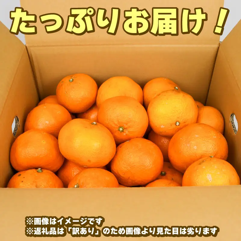 訳あり いよかん 8kg みかん 玉津柑橘倶楽部 先行予約 みかん B010-072032