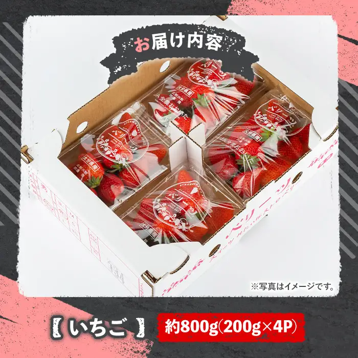 ＜10月1日から先行予約受付開始！＞＜2027年1月上旬～4月下旬の間に発送予定＞いちご(計約800g・200g×4P)苺 イチゴ フルーツ 果物 くだもの 果実 ベリーツ【117900100】【Farm U.S.A.】