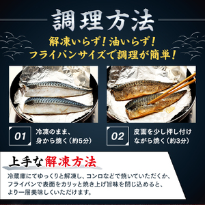 訳あり 塩サバ 約3kg 冷凍 鯖 塩 さば 魚 さかな 海鮮 海産物 おかず ご飯 おすすめ 人気 愛知県 南知多町 【配送不可地域：北海道･沖縄県･離島】