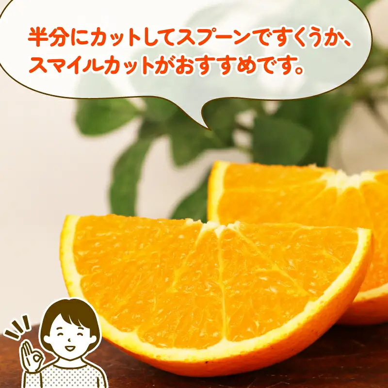 訳あり きよみ 8kg 玉津柑橘倶楽部 きよみ B010-072033