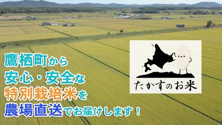 A232【 令和6年産 】 ゆめぴりか ななつぼし 食べ比べセット （ 無洗米 ） 特Aランク 真空パック 北海道 米 を代表する人気の2品種 各10㎏ 北海道 鷹栖町 たかすのお米 米 コメ こめ ご飯 無洗米 お米 ゆめぴりか ななつぼし コメ 無洗米