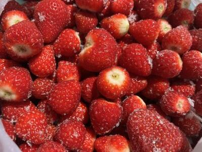 厳選冷凍いちご 1.5kg 冷凍 いちご 数量限定 10-025