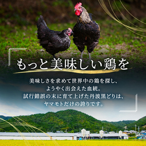 3ヶ月 定期便 地鶏 丹波 黒どり ムネ 2kg 鶏肉 冷凍 丹波山本 高タンパク低カロリー たんぱく質 ボリューム 筋トレ チキン 蒸し鶏 