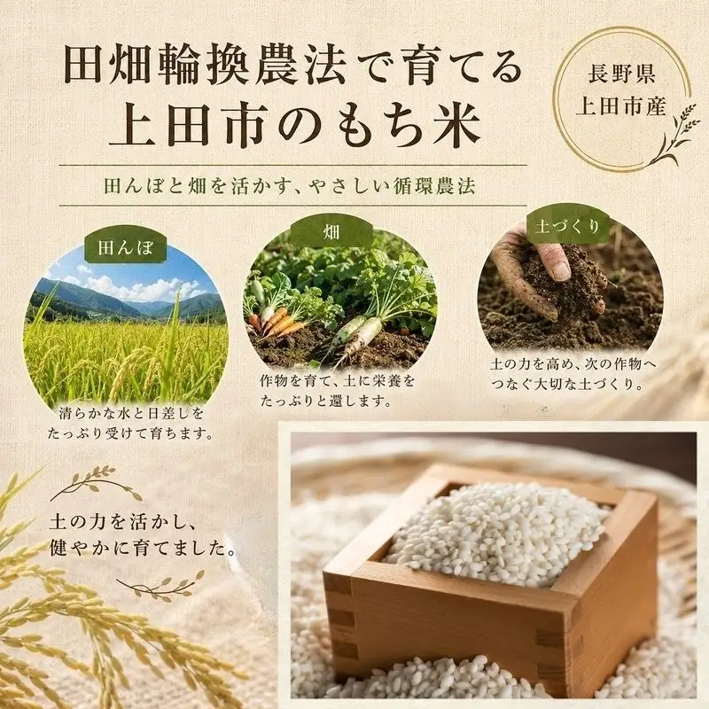 もち米 5kg (1kg×5個) 農家 自慢のお米 米 お米 餅米 白米 精米 こめ おこめ コメ おにぎり お餅 餅 モチ 和菓子 信州 長野 長野県 上田市