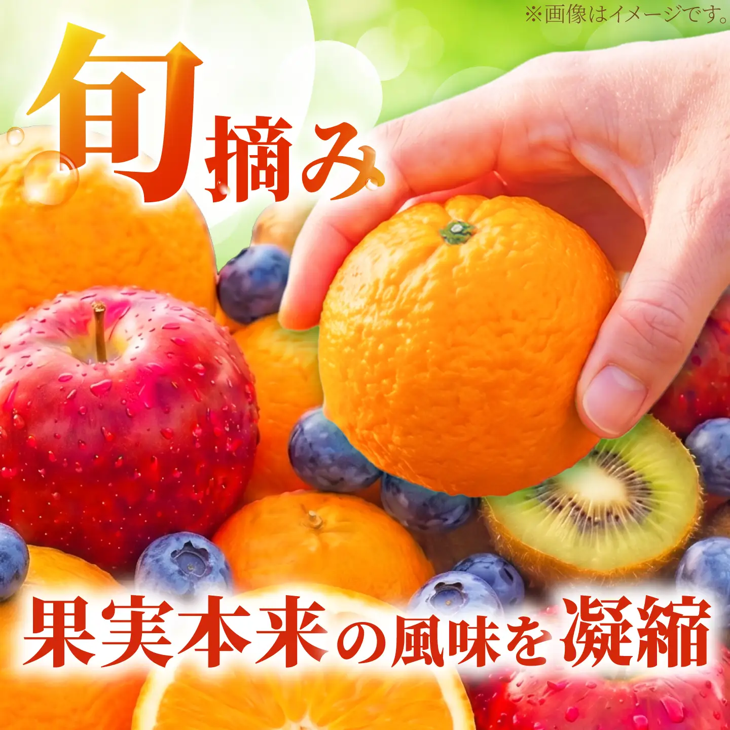 ゼリー カップゼリーまるごと果樹園詰め合わせ 5種12個セット( 伊予柑 みかん りんご キウイフルーツ ブルーベリー )/ 柑橘 ゼリー 果肉 果実 果汁 果物 フルーツ 国産 愛媛県産 スイーツ おやつ ギフト お中元 / 愛媛県砥部町/えひめ中央農業協同組合[BJCG010]