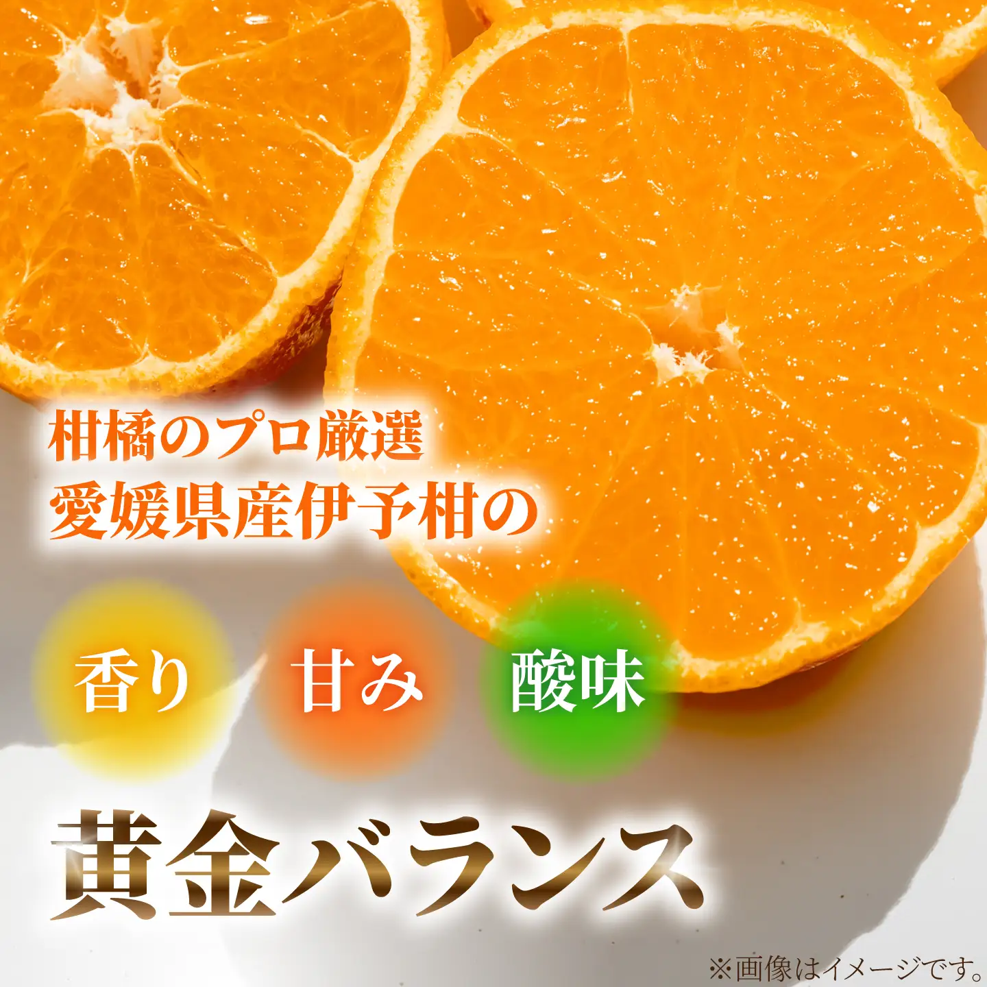 ゼリー 寒づくり伊予柑ゼリー詰め合わせ 12個セット / 伊予柑 ゼリー セット ギフト 詰め合わせ 愛媛産 柑橘 フルーツ スイーツ / 愛媛県砥部町/えひめ中央農業協同組合[BJCG009]