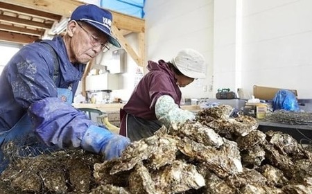 牡蠣 訳あり 加熱用 殻付き牡蠣３kg 冷凍
