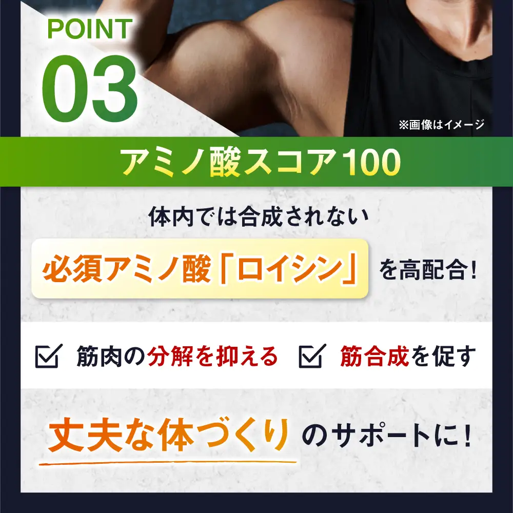 プロテイン 【アルプロン】 IZMO BULK UP WHEY PROTEIN MAX ストロベリー 900g ホエイプロテイン [AIAL019]