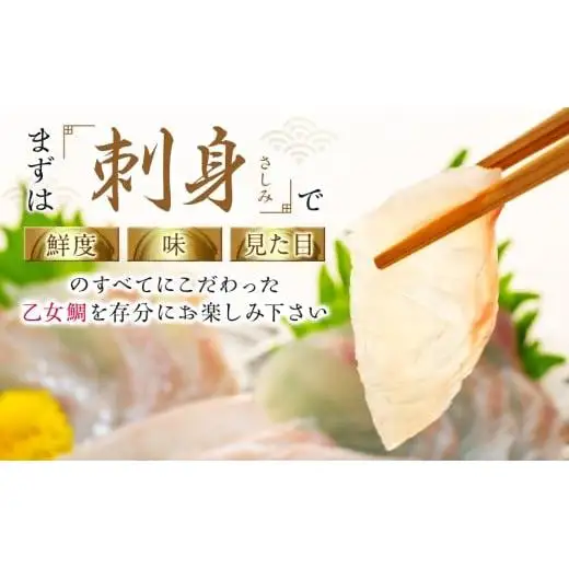 【 鯛 】 乙女鯛 2.0kg以上