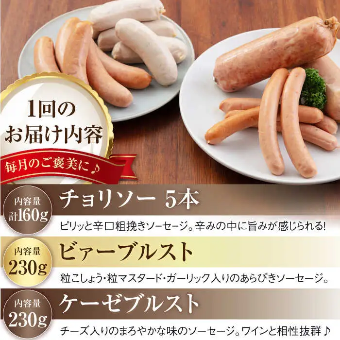 【全2回定期便】ソーセージ 5種セット ウインナー [AJAI035]