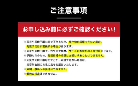 【先行予約】木更津市産　矢那の梨【豊水】〈安西梨園〉 / ふるさと納税 フルーツ 果物 くだもの 梨 ナシ なし 季節 旬 産地直送 送料無料 千葉県 木更津市 KCO002