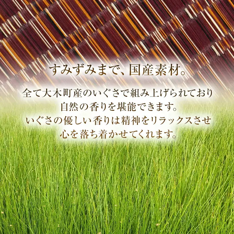 純国産天然いぐさ 「掛川織」 フリーマット 大 （緑色） 純国産 いぐさ い草 天然 自家生産 掛川 ラグ BG025