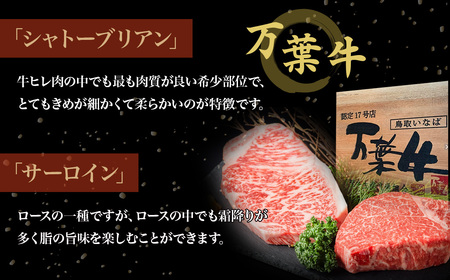 鳥取いなば万葉牛 シャトーブリアン・サーロインステーキセット（約150g×2） 鳥取和牛 国産 万葉牛
