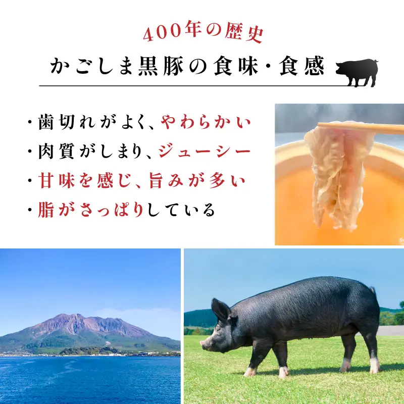 【 10営業日以内に発送 】 鹿児島黒豚 ・ 熟成 魚節出汁 しゃぶ セット K265-002 肉 豚肉 冷凍 スピード配送 最短 すぐ届く お急ぎ