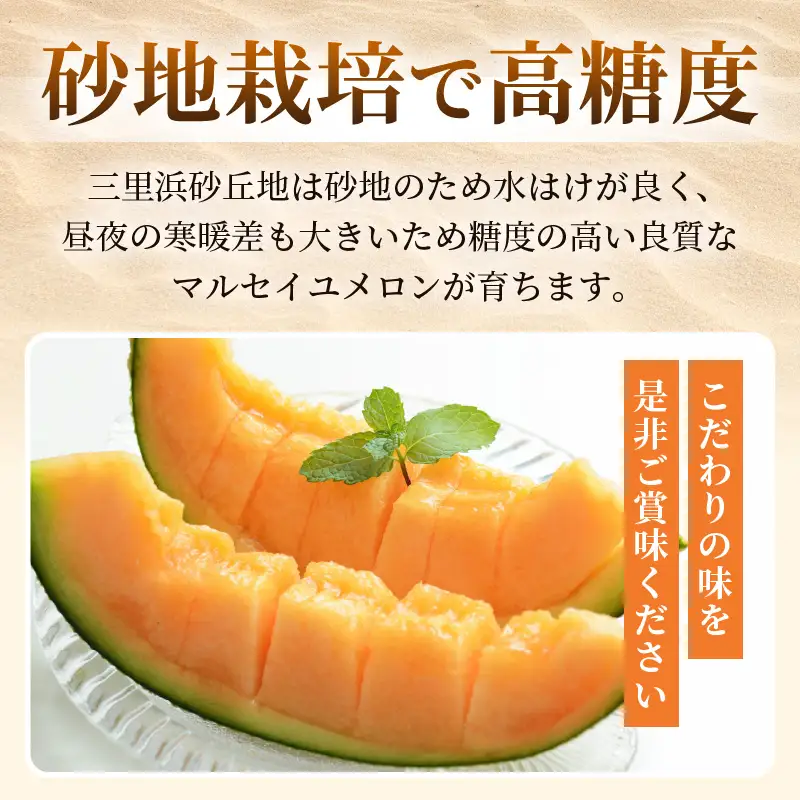 マルセイユメロン 2玉 (1玉 約1.2kg前後) 2027年6月中旬以降順次発送 めろん フルーツ [A-19008]