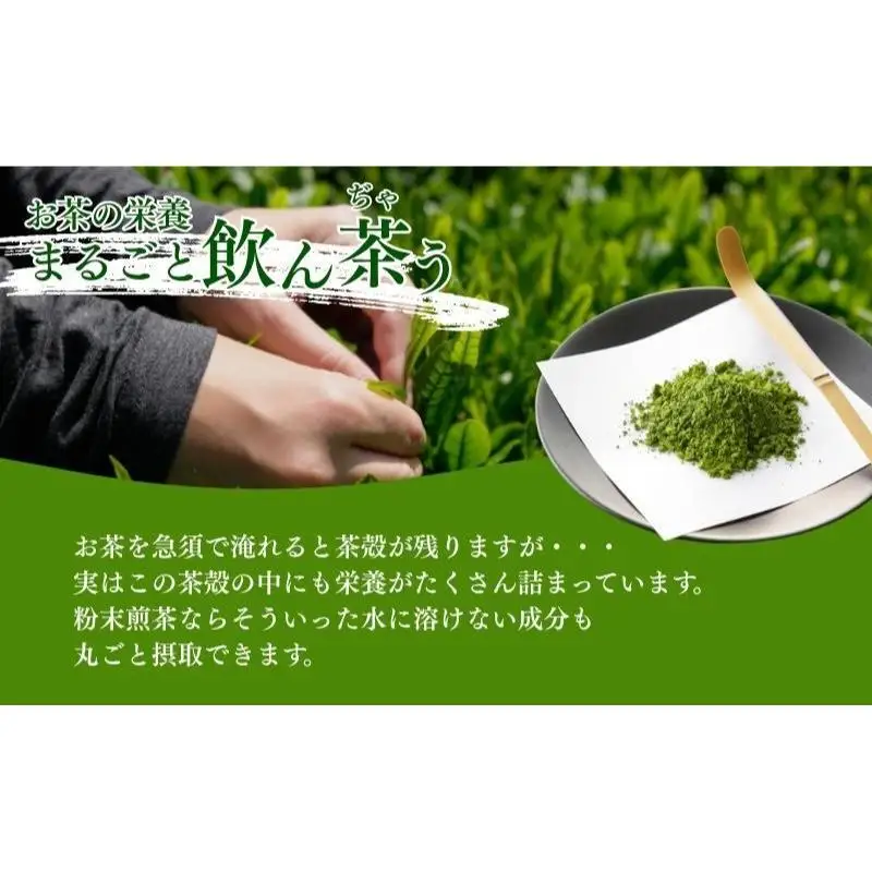 粉末煎茶のん茶うもん50g×6袋 飲料類 お茶 日本車 緑茶 