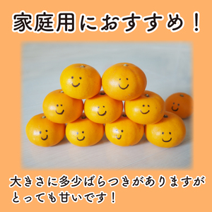 【せとか】 訳あり せとか 3kg みかん 蜜柑 せとか