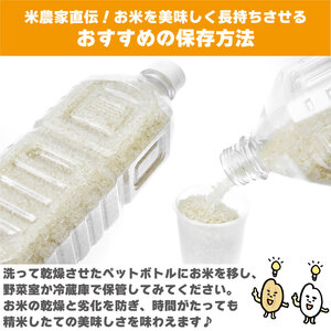 コシヒカリ 10kg 令和8年産 米 【 お米 】