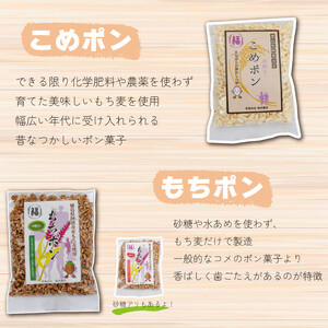 ポン菓子 詰めあわせ 5種 セット もち麦 お菓子 もちむぎ ぽん菓子 阿波市 徳島県