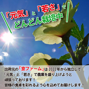 野菜 オクラ 約 1kg 以上 《 先行予約 5月下旬～発送開始》 夏野菜 阿波市産 徳島県