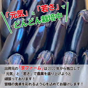 野菜 なす 約 2kg 以上 千両なす 《 先行予約 5月下旬～発送開始》 夏野菜 阿波市産 徳島県
