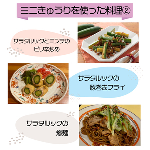 野菜 夏野菜 きゅうり  ミニきゅうり 2.5kg 小分け きゅうり きゅうり