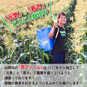 野菜 とうもろこし スィートコーン おおもの 約5kg 夏野菜 数量限定 高糖度 農家直送 朝採れ 産地直送 新鮮 旬 コーン サラダ 焼きとうもろこし クール便 ギフト 贈り物 お取り寄せ ご当地 特産物 生産者直送 2024年発送 令和6年産 徳島県 阿波市 四国