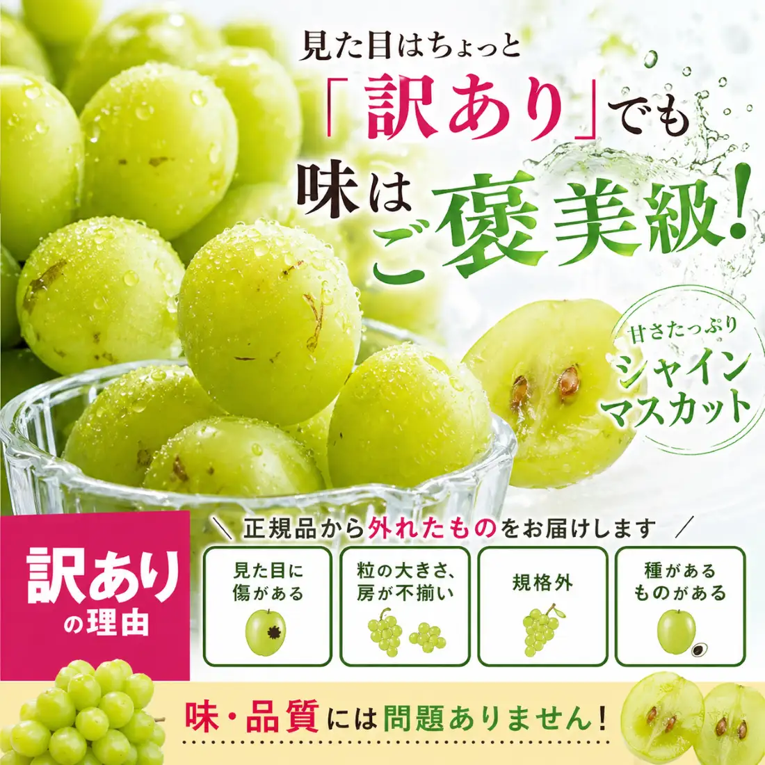 訳あり シャインマスカット 約1.5kg 【 シャインマスカット 】