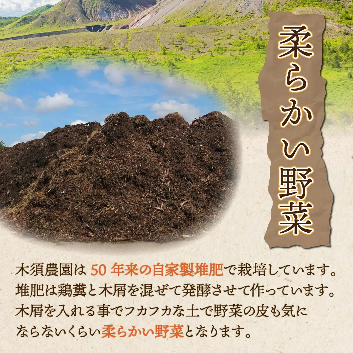 【 2026年 発送 】先行予約 北海道 じゃがいも 玉ねぎ 各5kg(計10kg) M-L混合 メークイン【55251004】