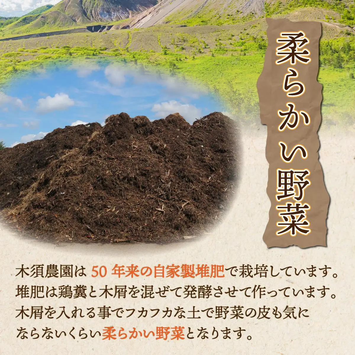 【 2026年 発送 】 先行予約 北海道 玉ねぎ 各2.5kg (計約5kg) M-L混合 北はやて アーリーレッド【55251005】