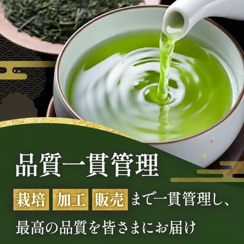 玉露 宇治玉露 手摘み 京都 玉露【100g】