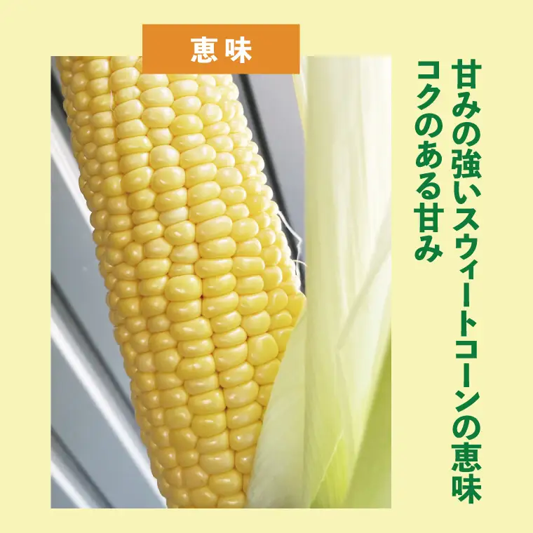 【6月下旬より発送 】数量限定 とうもろこし 12～14本 恵味 ドルチェドリーム プレミアム味来 （GR-4）