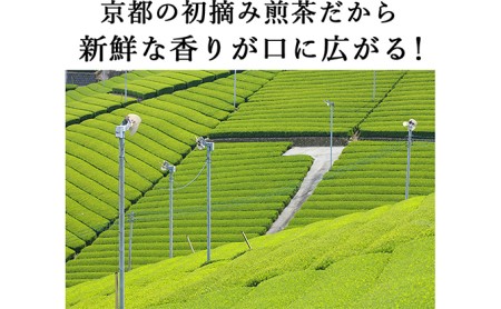 宇治茶飲み比べセット 煎茶 かぶせ茶 木谷製茶場 宇治茶飲み比べセット【4本 各100g】