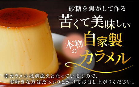 【先行予約】【季節限定】ハロウィンかぼちゃパーティープリン 1200g ぷりん 贅沢 スイーツ お土産 横須賀 【マーロウ】 [AKAF033]