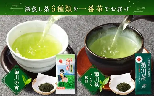 深蒸し茶 詰め合わせ 6種 セット 計約575g 【緑茶 茶葉 ティーバッグ】 お茶 茶 深蒸し菊川茶 深蒸し 菊川茶 飲料 ティーパック お茶パック 静岡茶 日本茶 茶葉 静岡 静岡県 菊川市