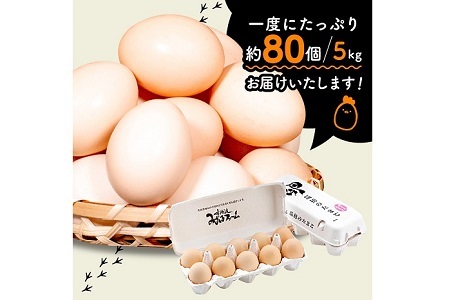 京丹波 こだわり たまご 卵 くろ丹波 約 80個 5kg  [010MF003]