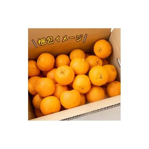 ぽんかん 優品 5kg 早期受付開始 2027年１月中旬