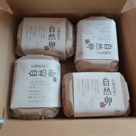 【朝採り】季節の平飼い卵有精卵6個入り×4パック_卵・乳製品 卵  たまご タマゴ 玉子_【配送不可地域：離島】【1487838】