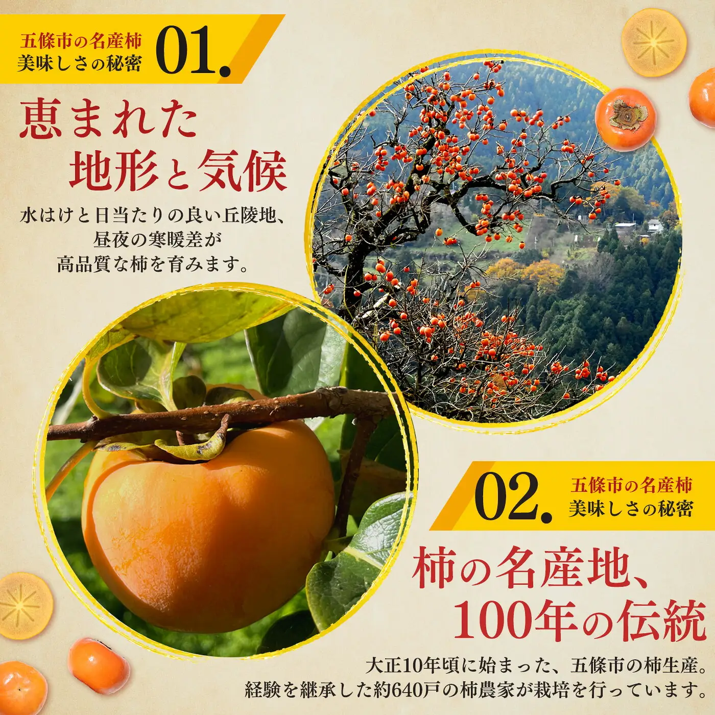 西吉野産 富有柿（冷蔵）2Lサイズ×12個 | 果物 柿 