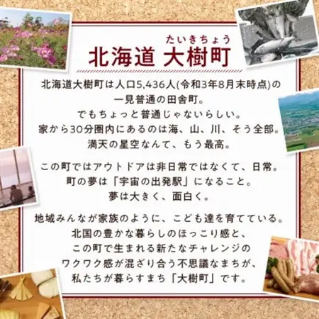 【2ヵ月毎定期便】雪印北海道 カマンベールチーズ 1箱(90g×10個入り)全3回_卵・乳製品 チーズ    定期便 定期便  _【配送不可地域：離島】【4014037】