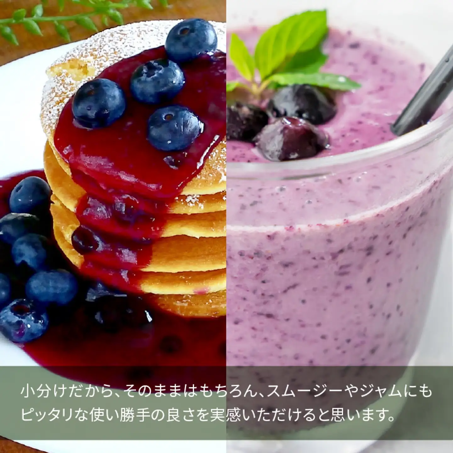 【訳あり】令和8年産〈冷凍〉手摘み有機ブルーベリー1.5kg（500g × 3パック）果物 夏限定