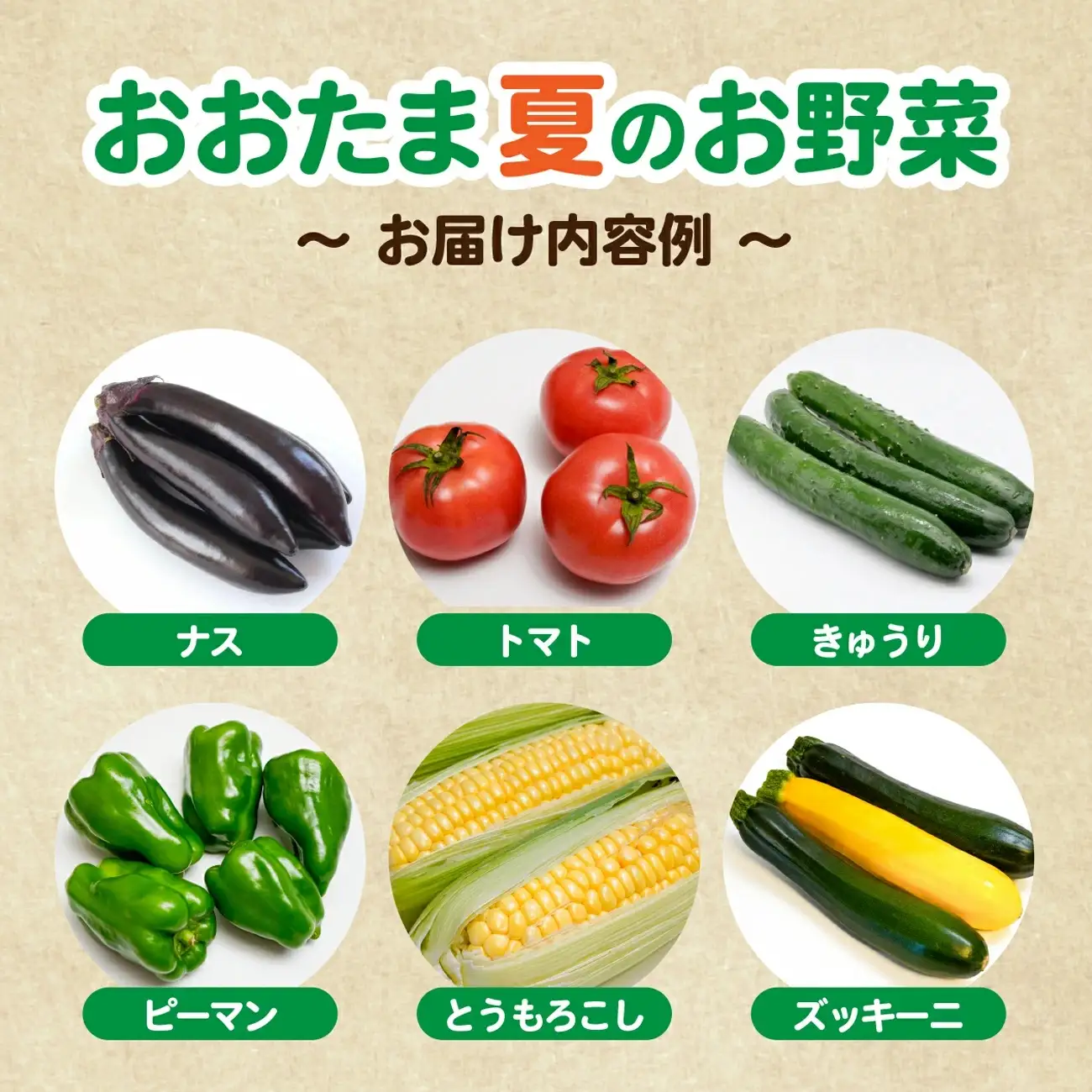 野菜セット 10種類前後【先行予約】 野菜